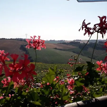 Lo Scrigno Di Simon 3* Senigallia